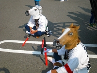 余戸大神輿会の馬